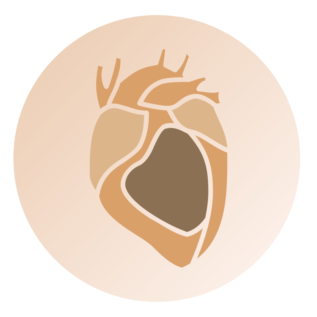 Cardiology